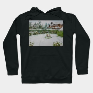 Back Garden in winter Hoodie